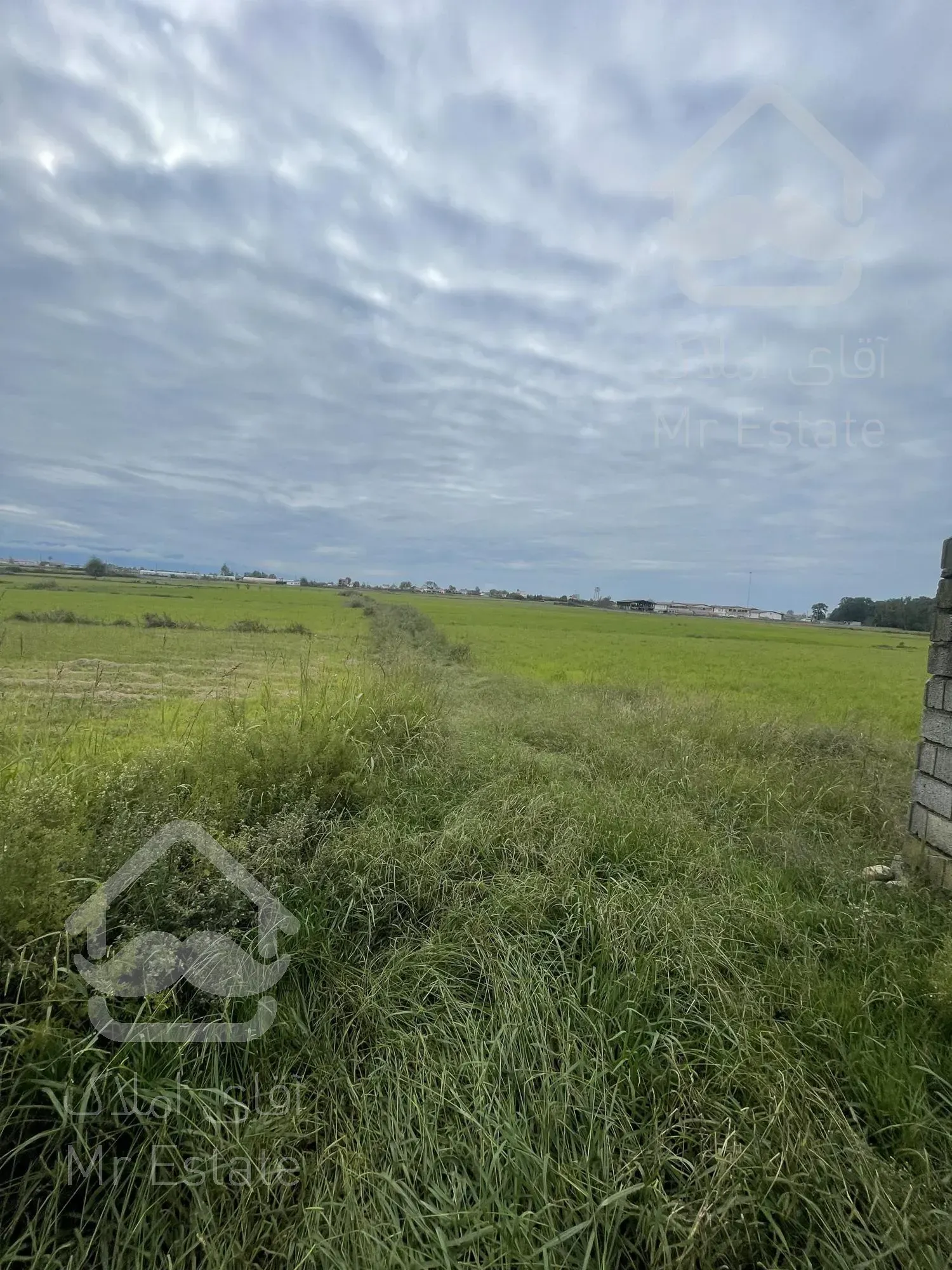 ۴۰۰۰ متر زمین کشاورزی متری ۵۰۰