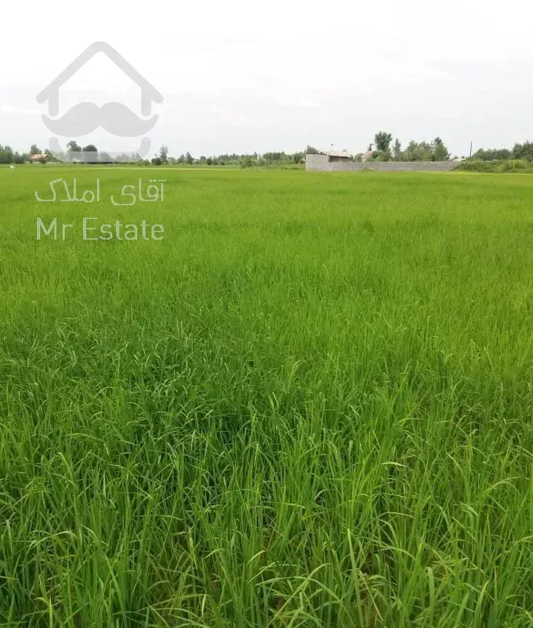 ۲۰۰۰ متر ویلا باغ ویوو  زیبا