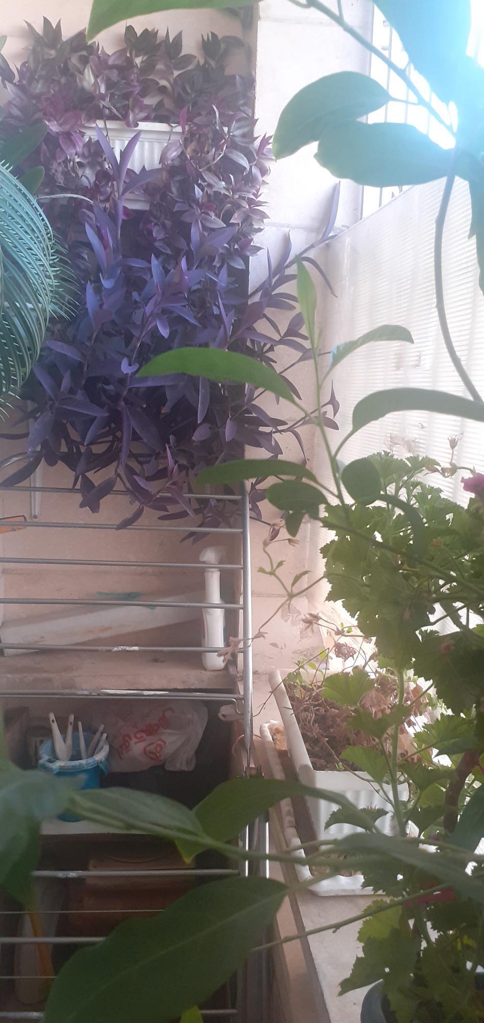 فروش خانه ۱۶۰متری خوش نقشه نورگیر شهرک راه آهن منطقه ۲۲