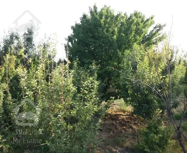 باغ ویلا ۷۷۱ متر بنا ۶۵ متر دو خوابه