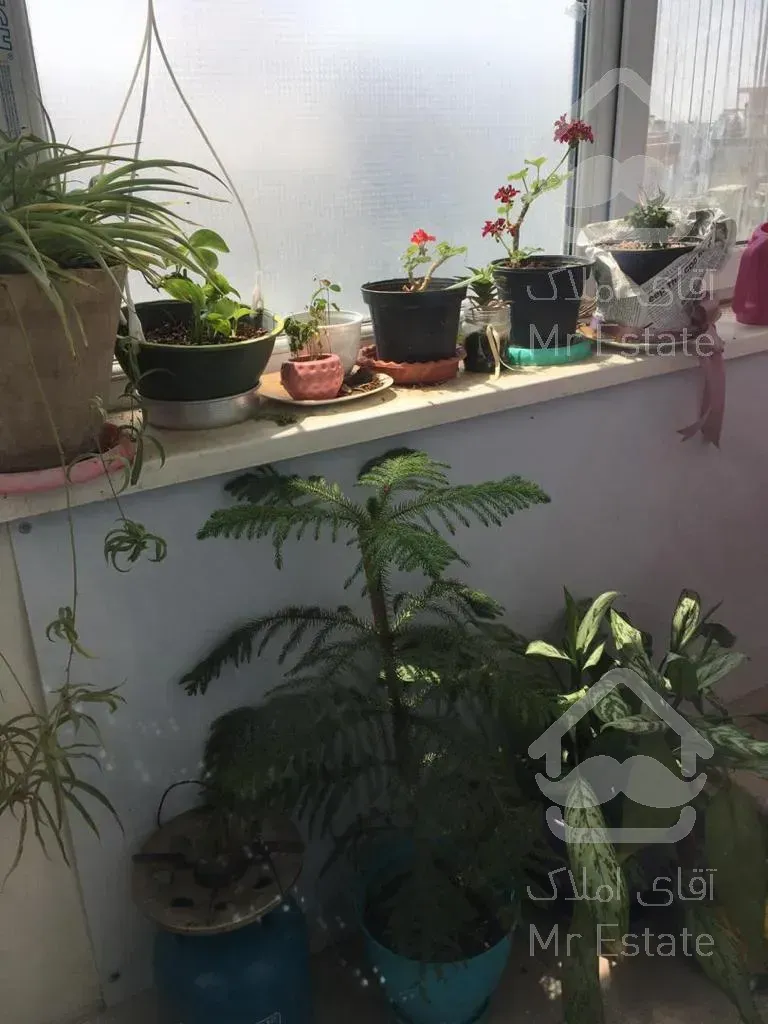 ۲۱۰ نیاوران ، غرق در نور