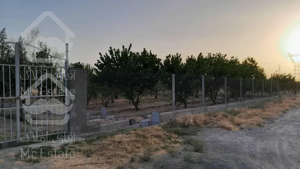 زمین باغی-هشتگرد-روستای انبار تپه