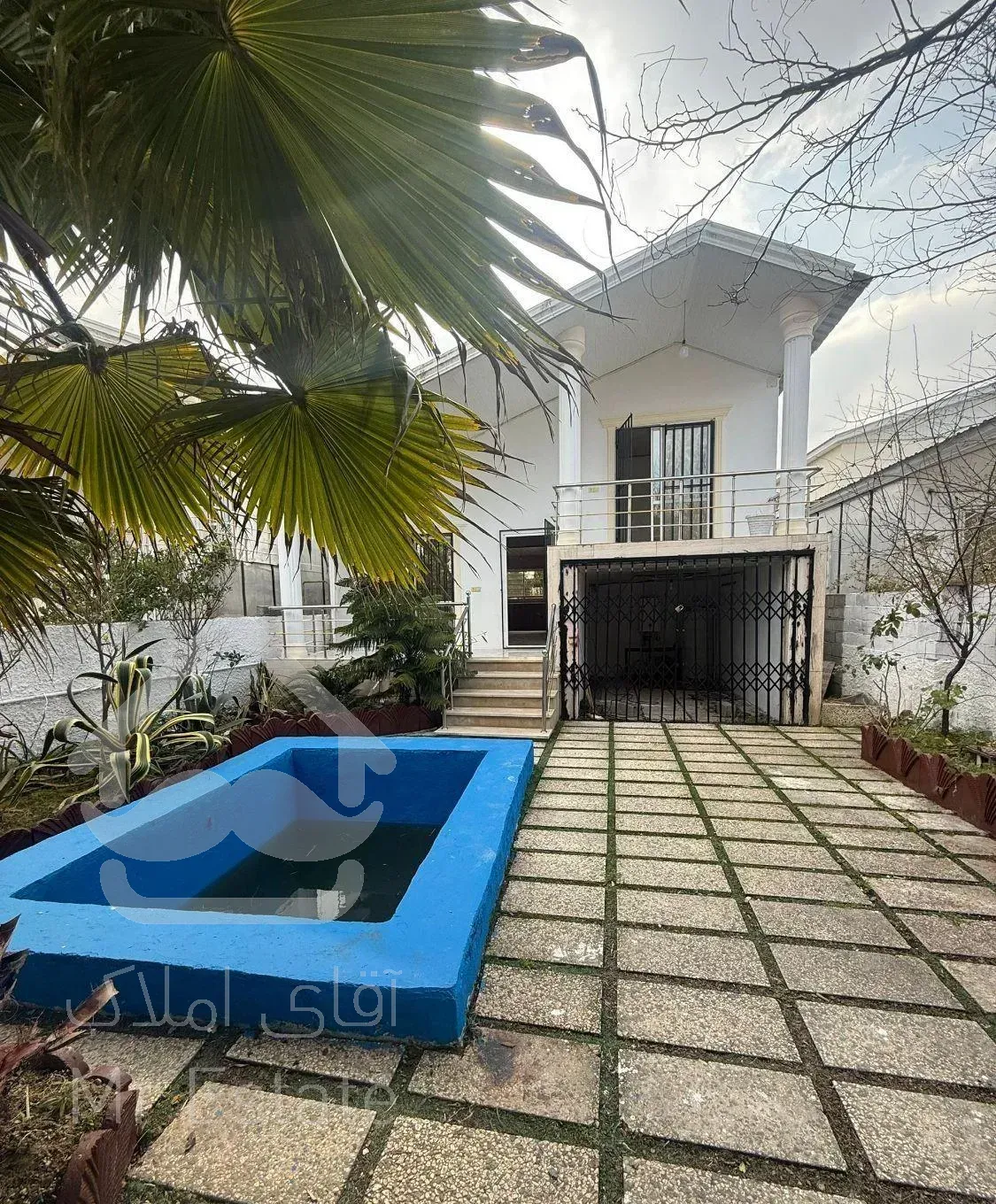 نیم پیلوت جنگلی استخردار/۳کنتوراختصاصی/سند تک برگ