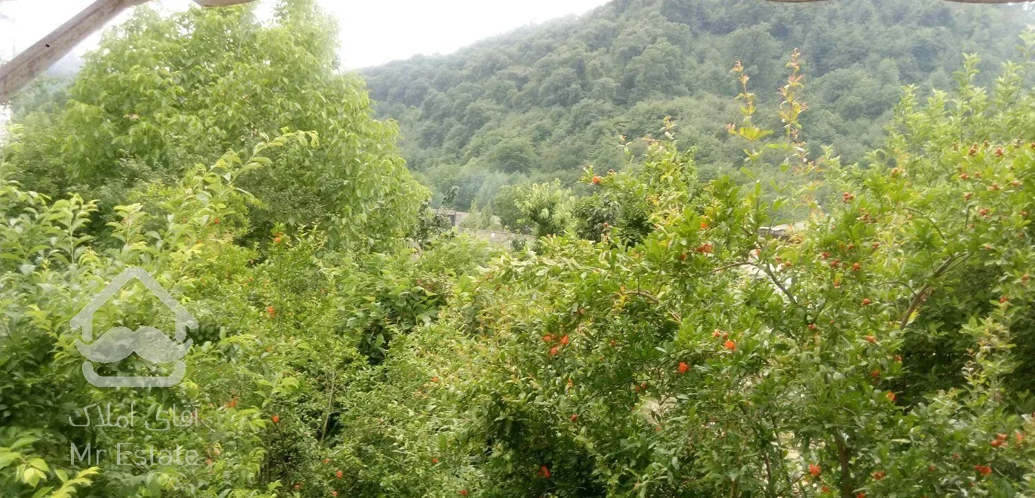 اقامتگاه وسوییت اجاره ای اقاجون در روستایی جنگلی