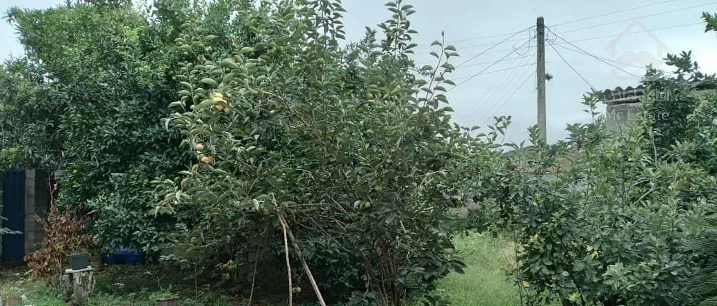 فروش ملک به همراه یک باب مغازه