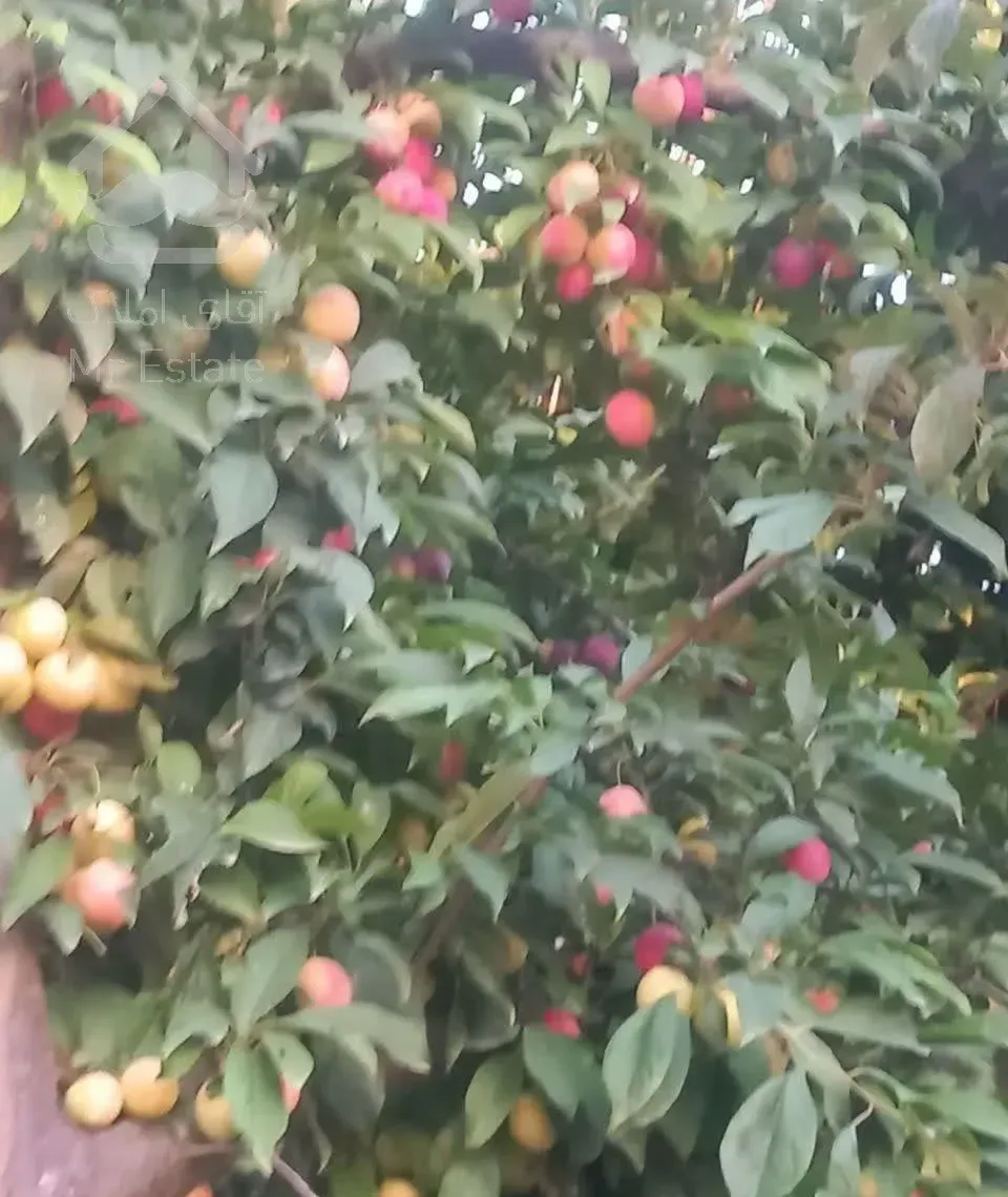 فروش خانه ویلایی ۳۲۰ متری ۲ خوابه