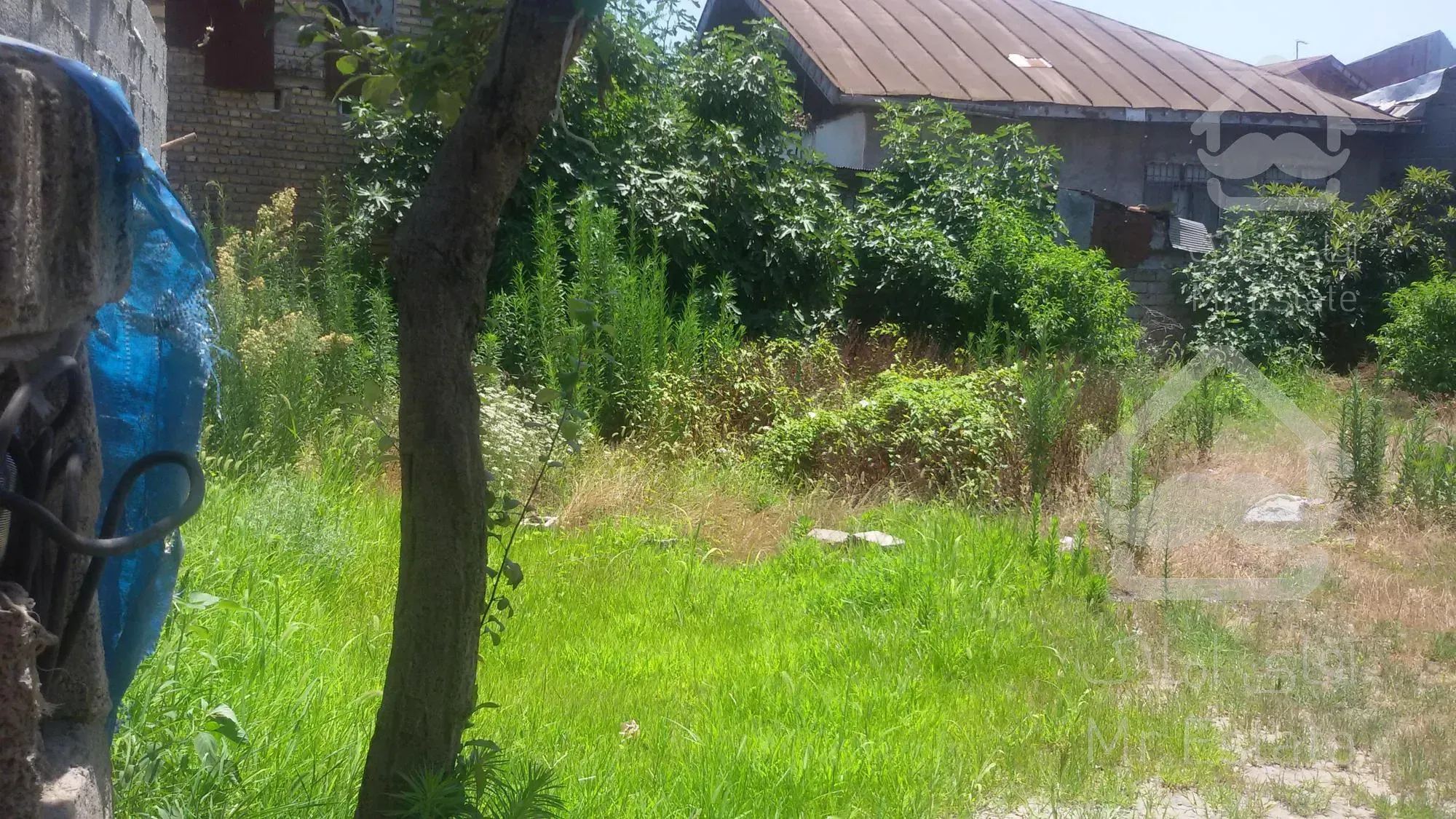 زمین مسکونی 359 متری