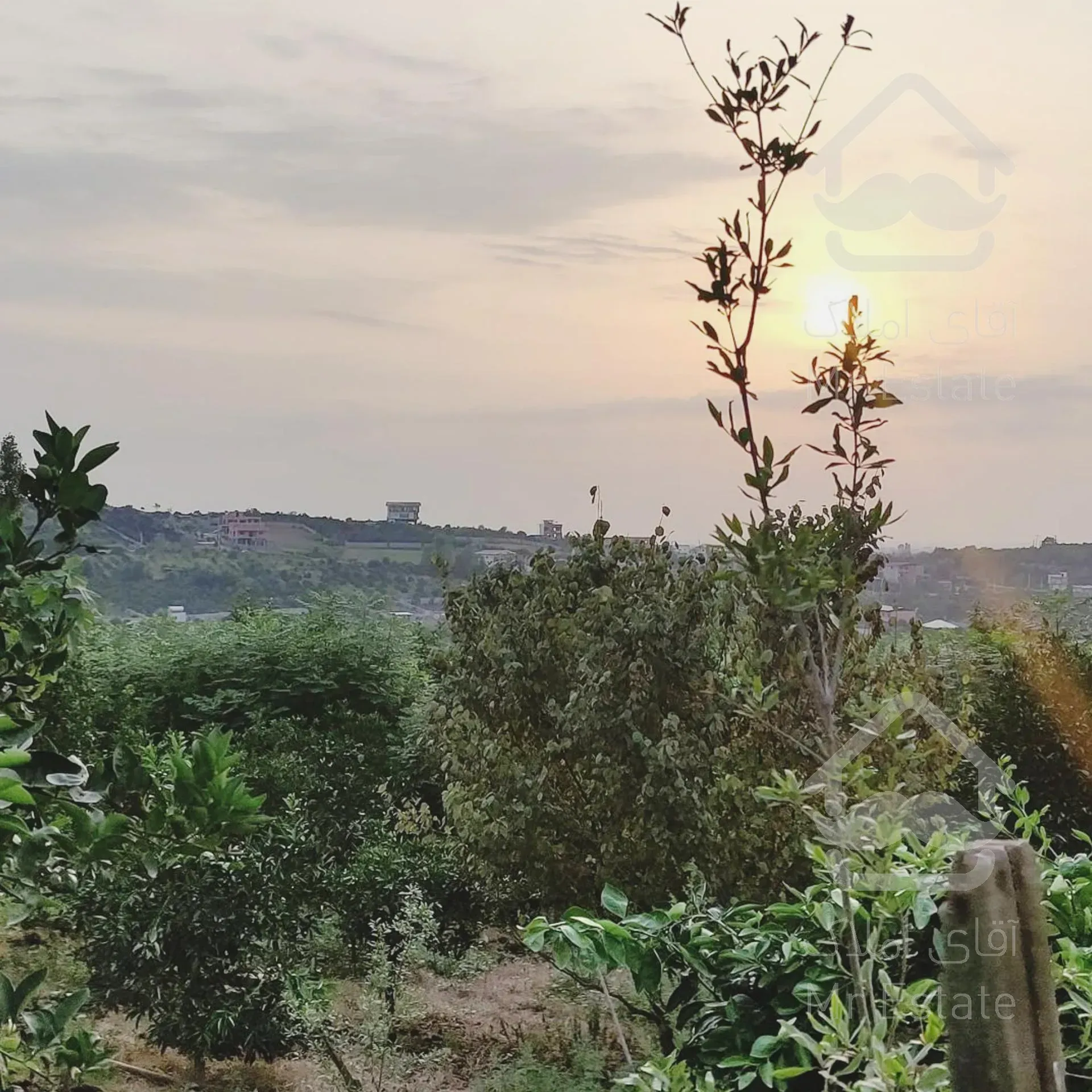 زمینی با بر زیاد و چشم انداز بی نظیر در قائمشهر