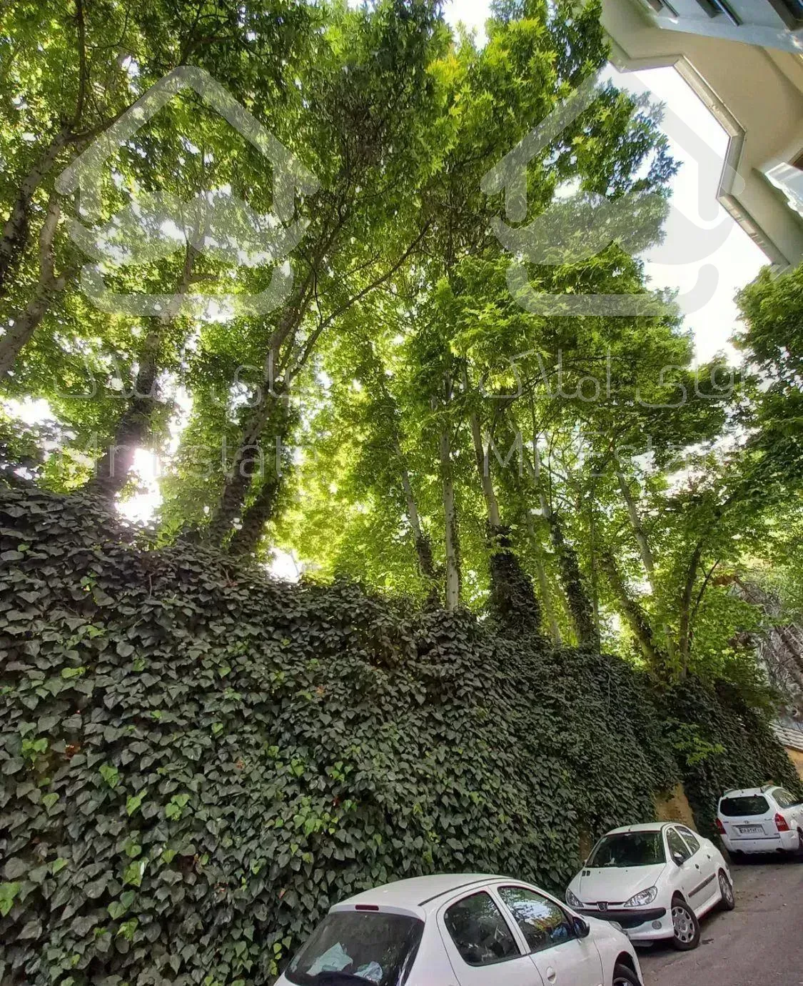 ۱۷۲ مترفرشته قدرالسهمی (۱ از ۳) سکونت سرمایه گذاری