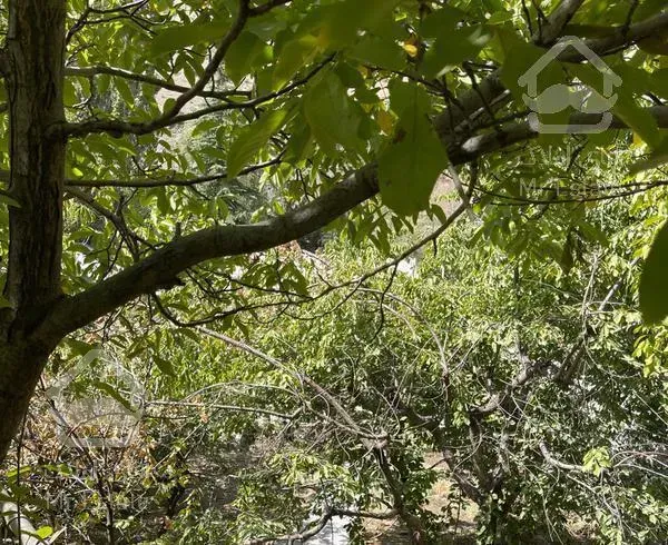 ۹۰۰متر ویلا بغل رستوران  شاندیز فروش یا معاوضه