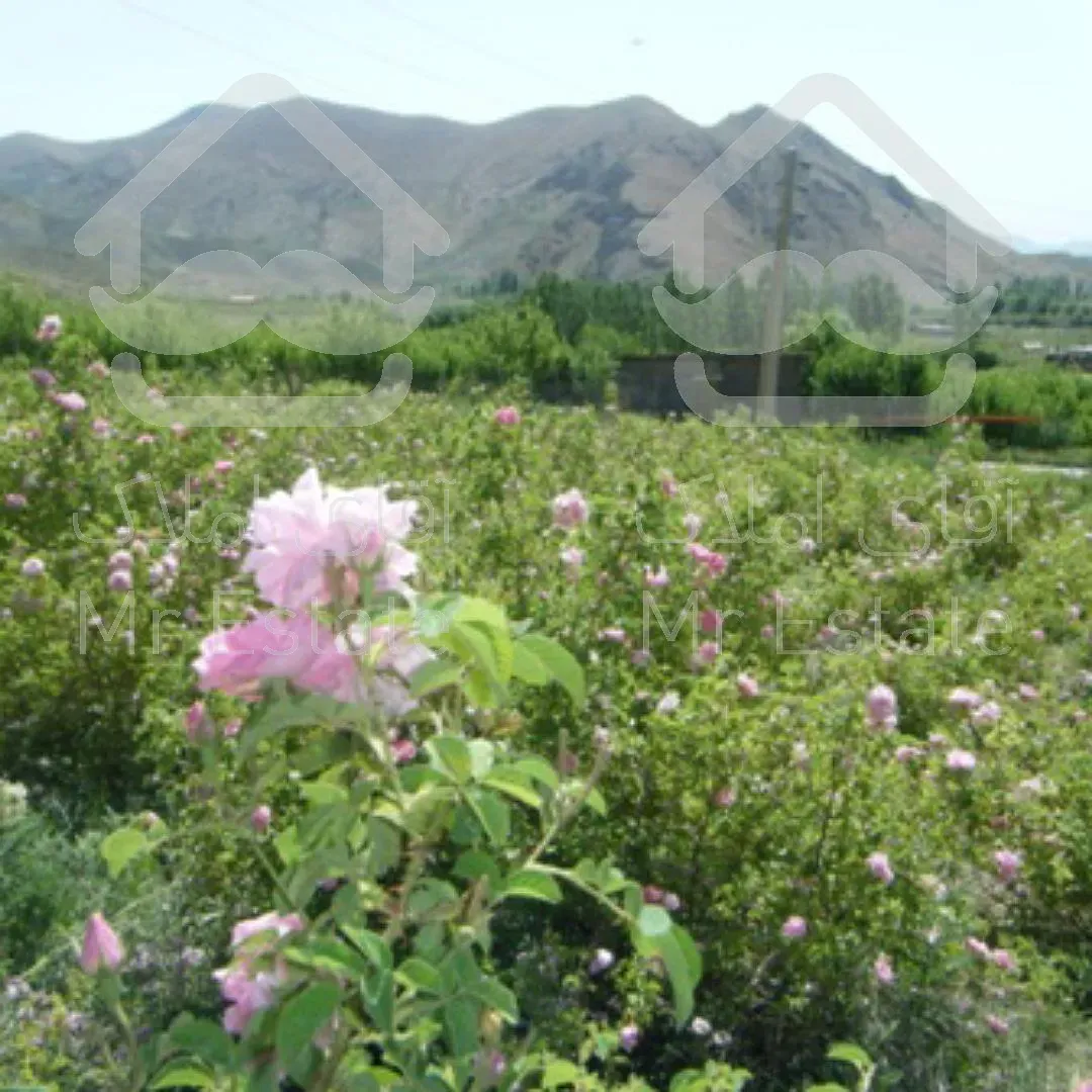 بهترین فرصت سرمایه گذاری در فیروزکوه