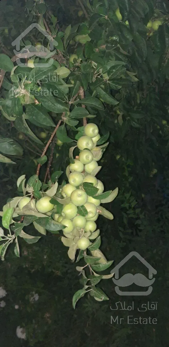 فروش و معاوضه ویلا هفت باغ