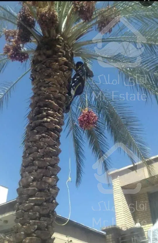 انجام کلیه خدمات فضای سبز