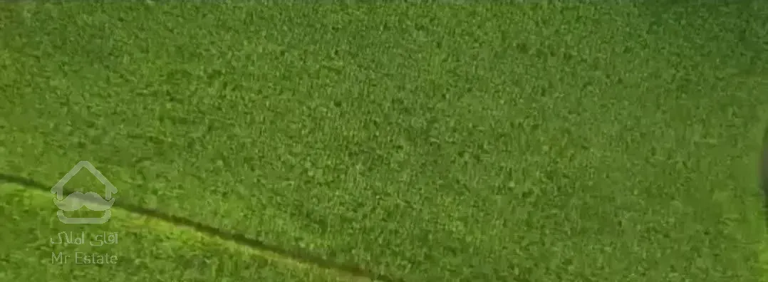 چشم انداز / سند /