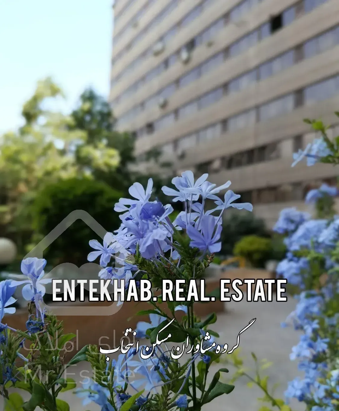 اجاره آپارتمان ۶۳ متری ۱ خوابه در اکباتان