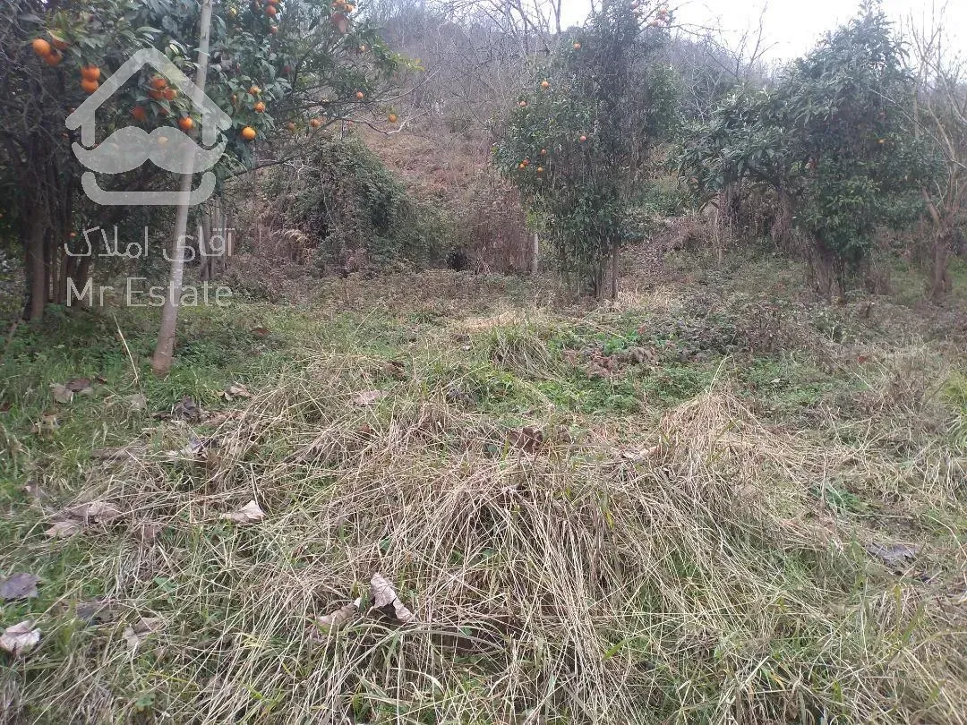 ۱۳۱۰متر زمین.سند۶دانگ.ویو ابدی .تنکابن سیاورز