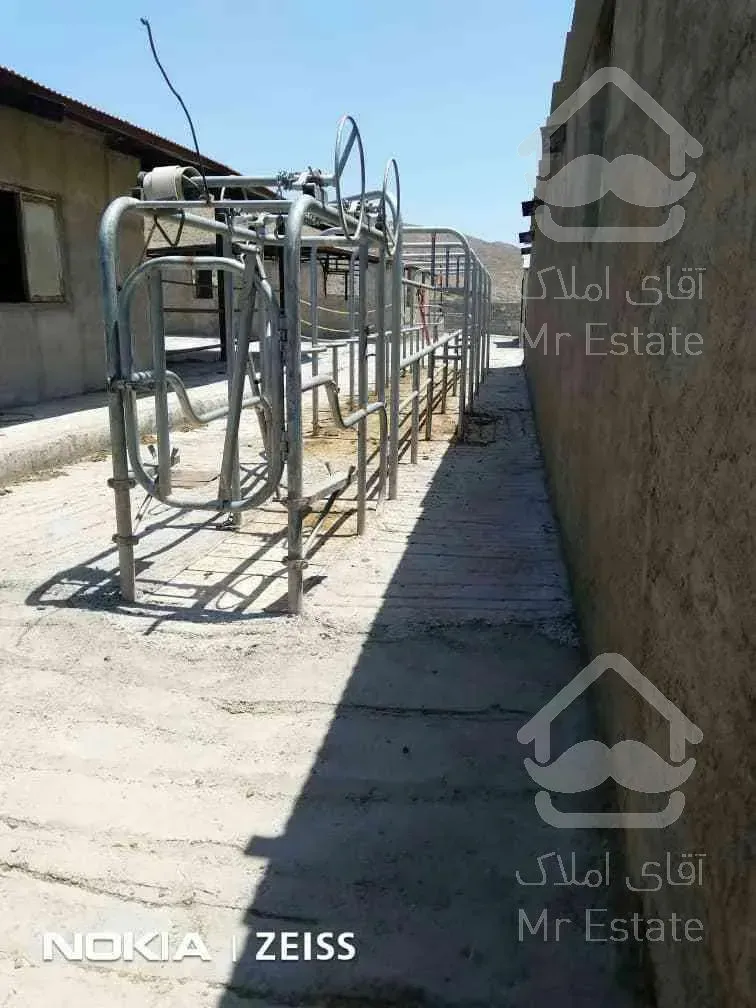 ♧♧گاوداری فعال با کلیه تجهیزات♧♧