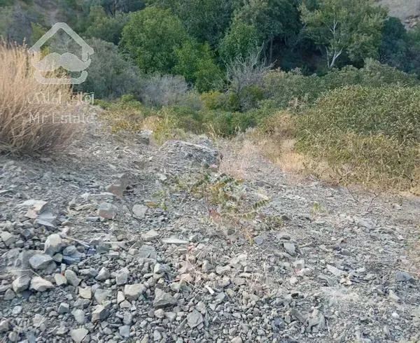 زمین با ویو  برای باغ