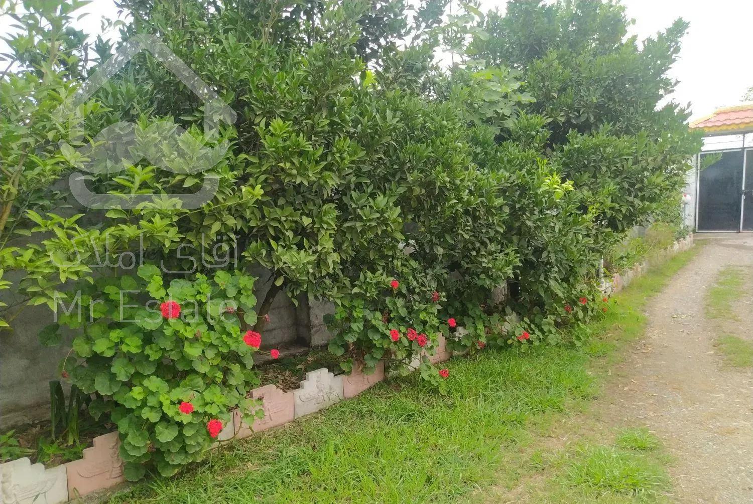 اجاره ویلا باغ دوخواب در روستای ساحلی