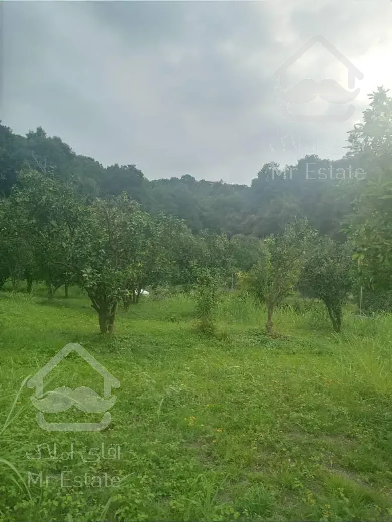 فروش زمین باغی در جاده نظامی با ویو بسیار زیبا