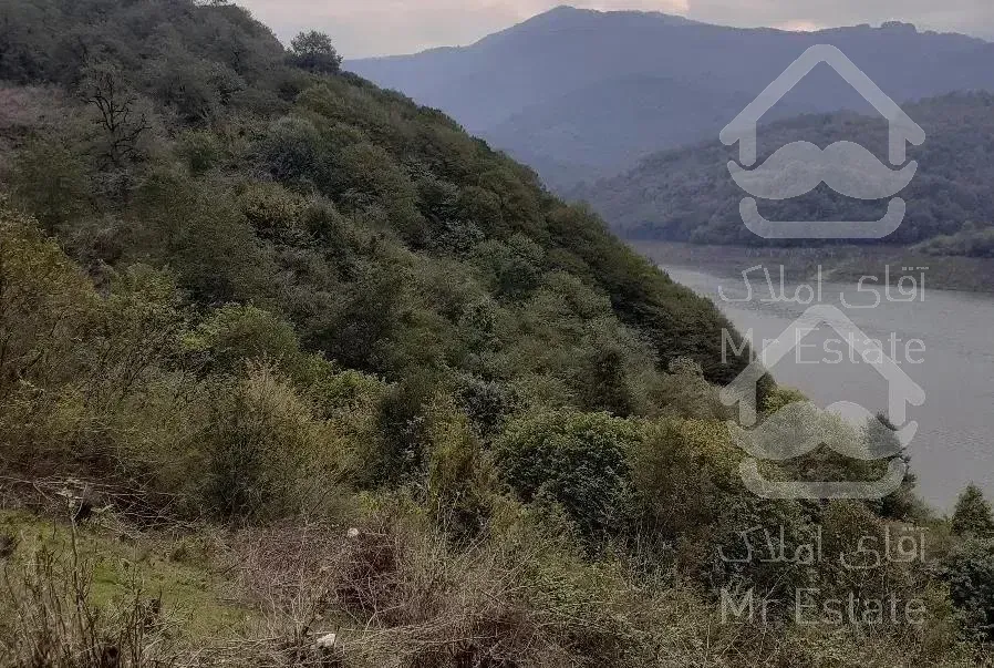 اجاره ویلا جنگلی کوهستانی