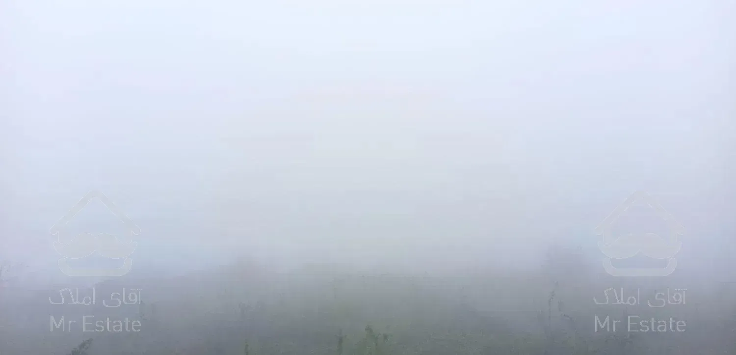 زمین جنگلی قادیکلای بزرگ با موقعیت تجاری  قادیکلا