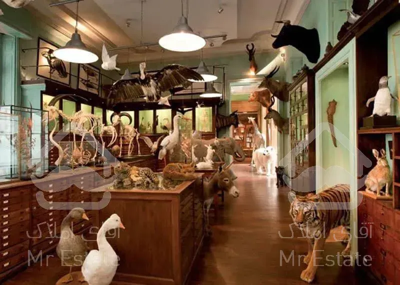 ۱۶متر/سند تجاری/سرمایه گذاری/پاخور عالی بر خیابان اصلی