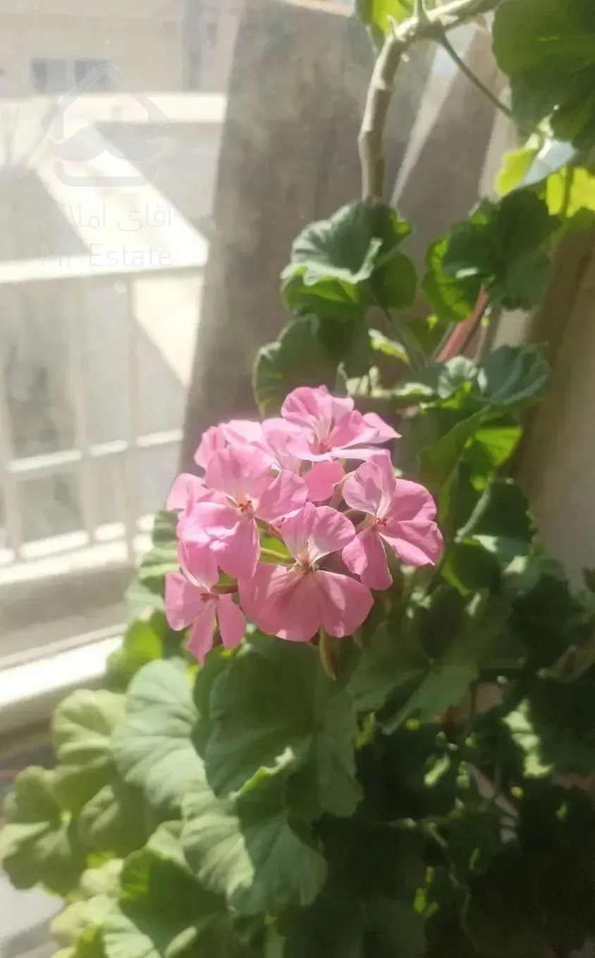 اتاق مجردی پونک سیمون بلیوار خیابان الوند