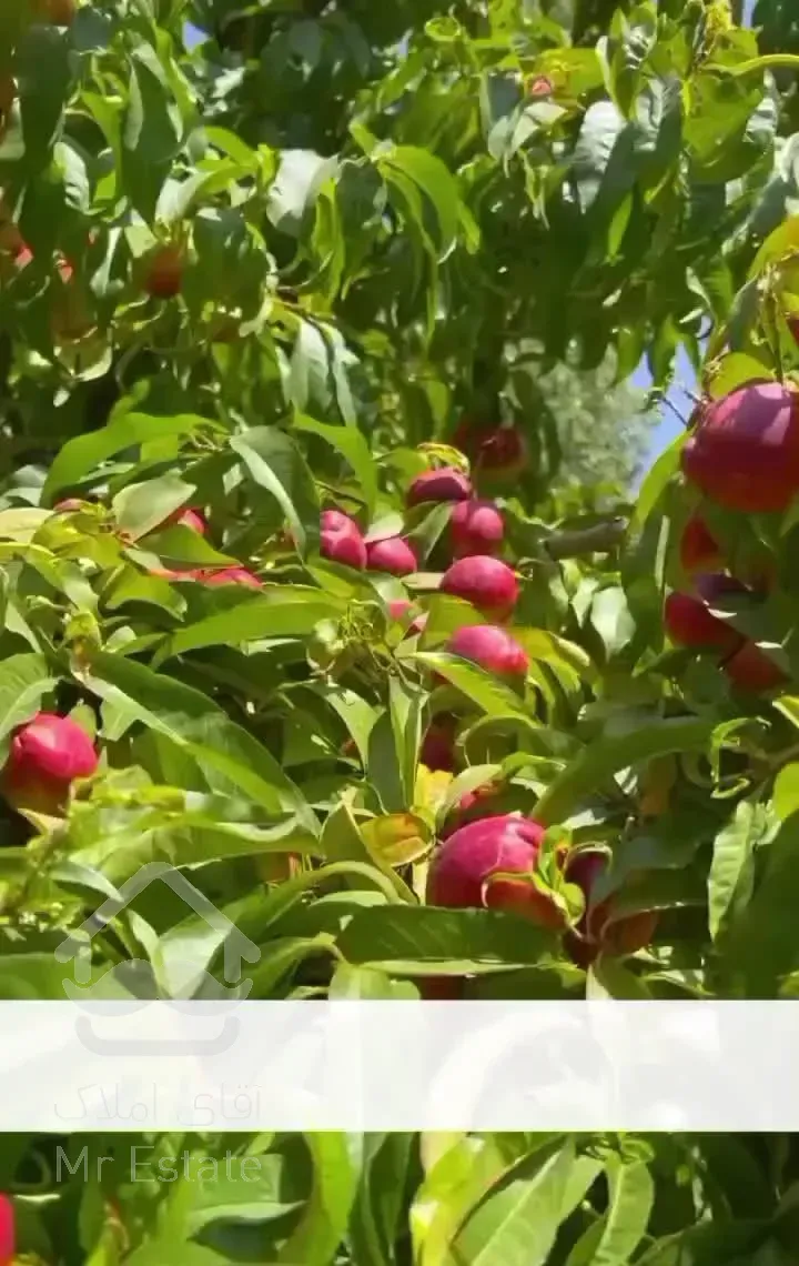 خانه باغ ویلایی با ۹۰۰ متر بنا / پایان کار