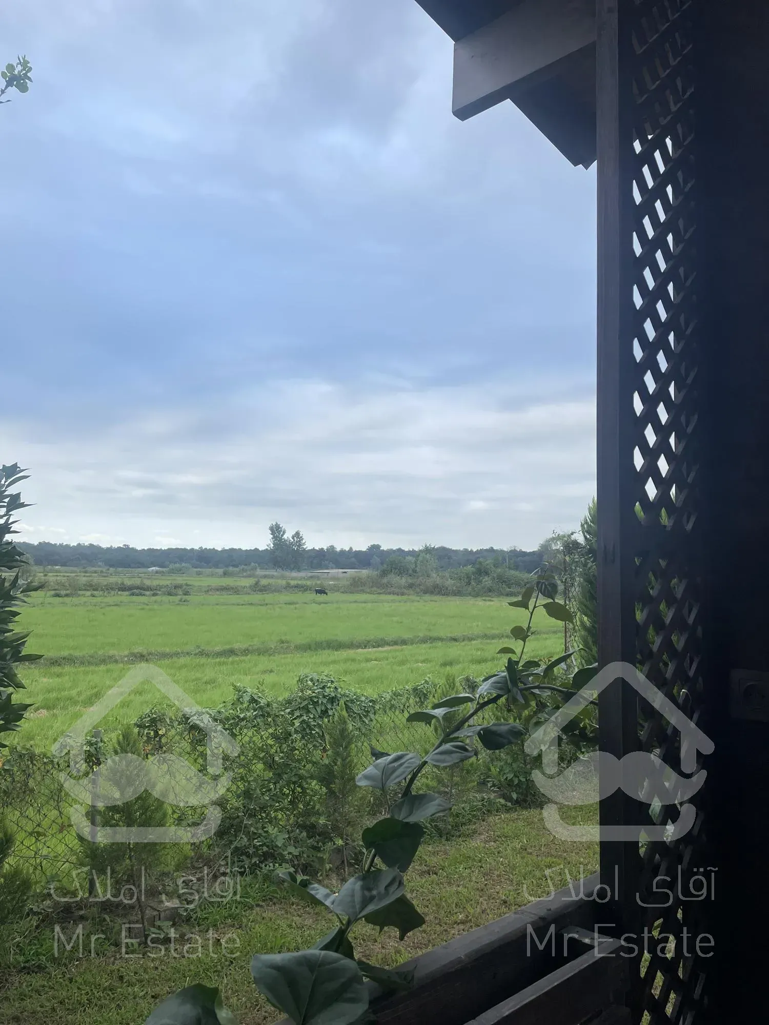 ویلا ۵۰۰ متری پلاک یک جنگل