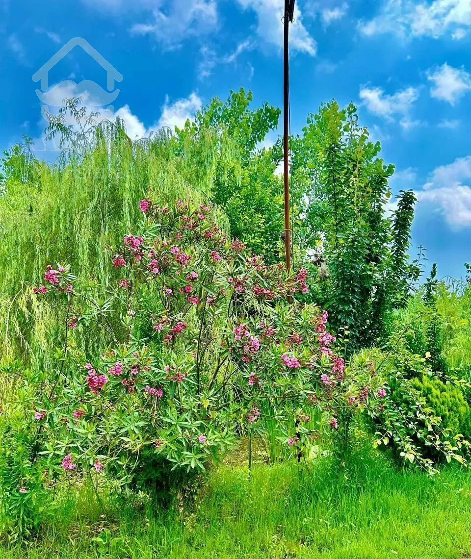 تعبیر رویای شما به دست ما اتفاق می افتد