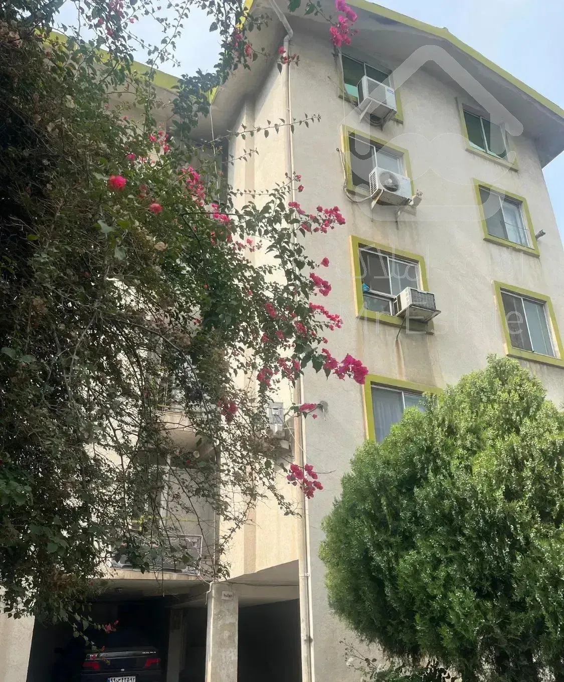 همخانه خانم بدون حاشیه و امن