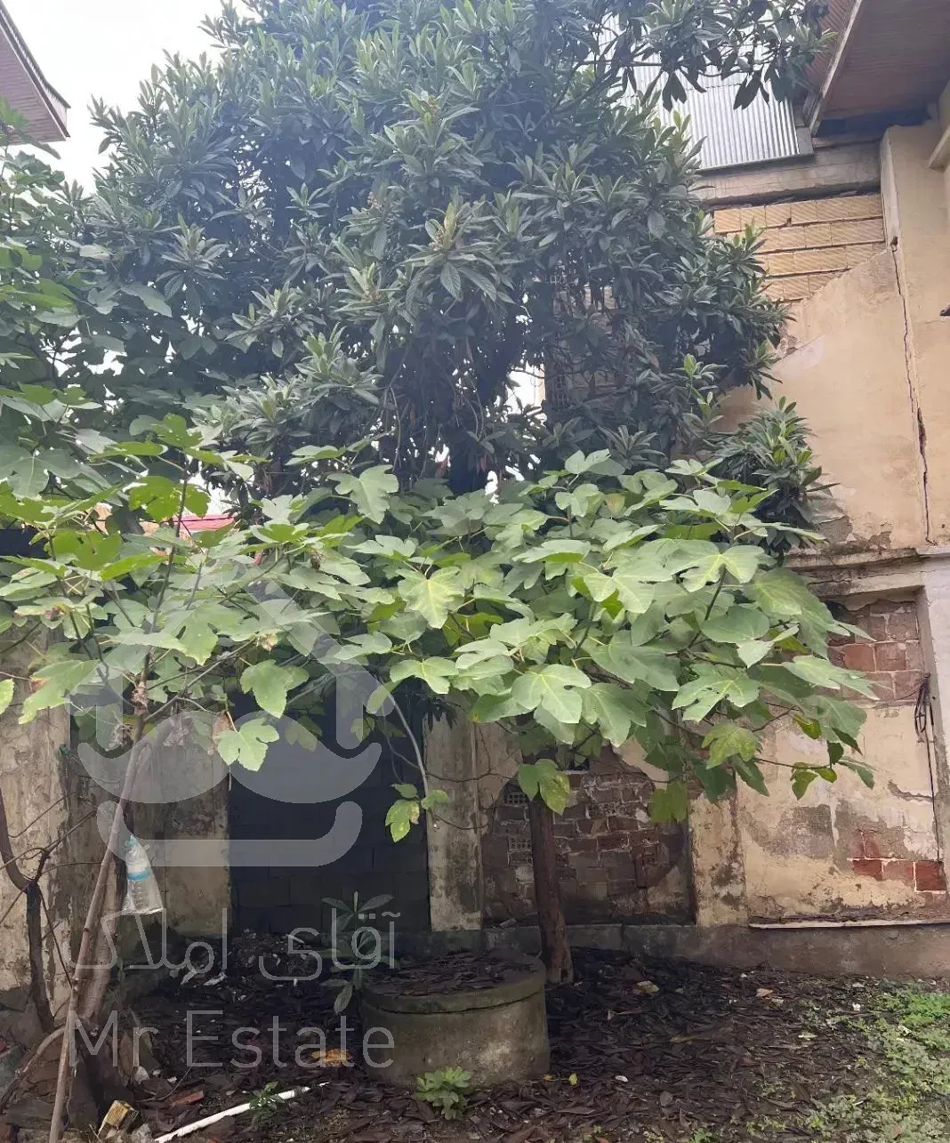 ویلایی قدیمی مرکز شهررشت مطهری شریعتی۲۰۰متر