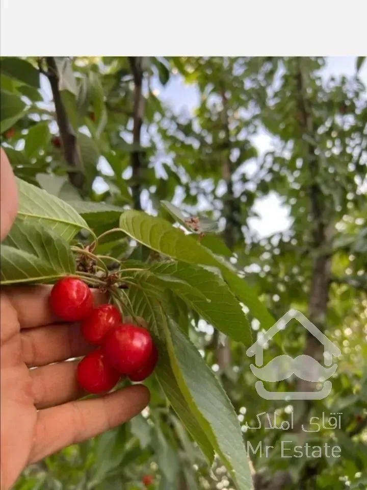 ویلا باغچه شیک دماوند جابان داخل بافت...