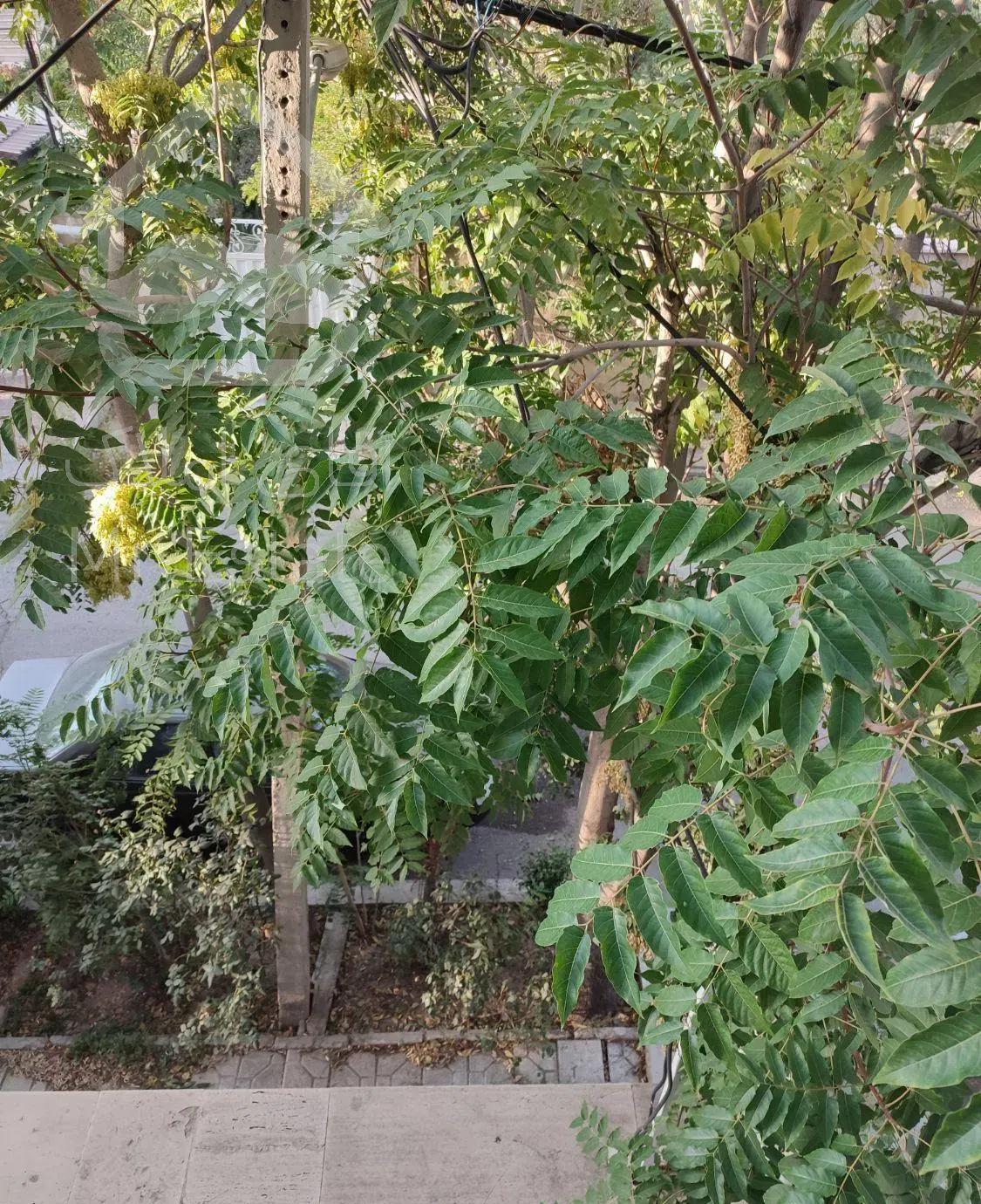 آپارتمان ۲۰۰ متر میدان گلها