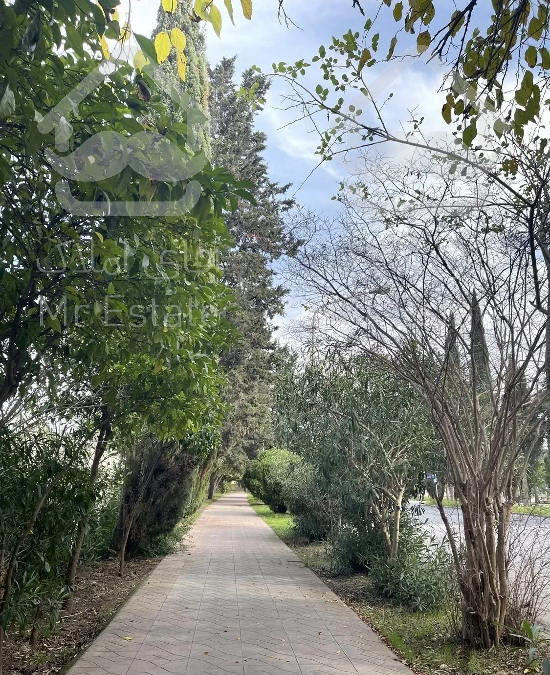 اجاره ویلا 250 متری دو خواب در شهرک دریاکنار