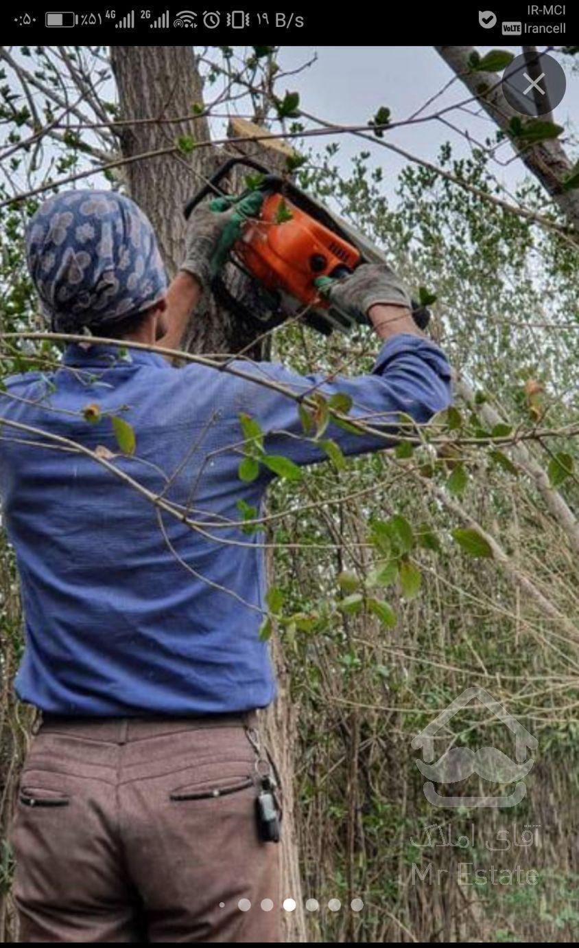 خدمات باغبانی فضای سبزهرس وسمپاشی باسموم اورجینال