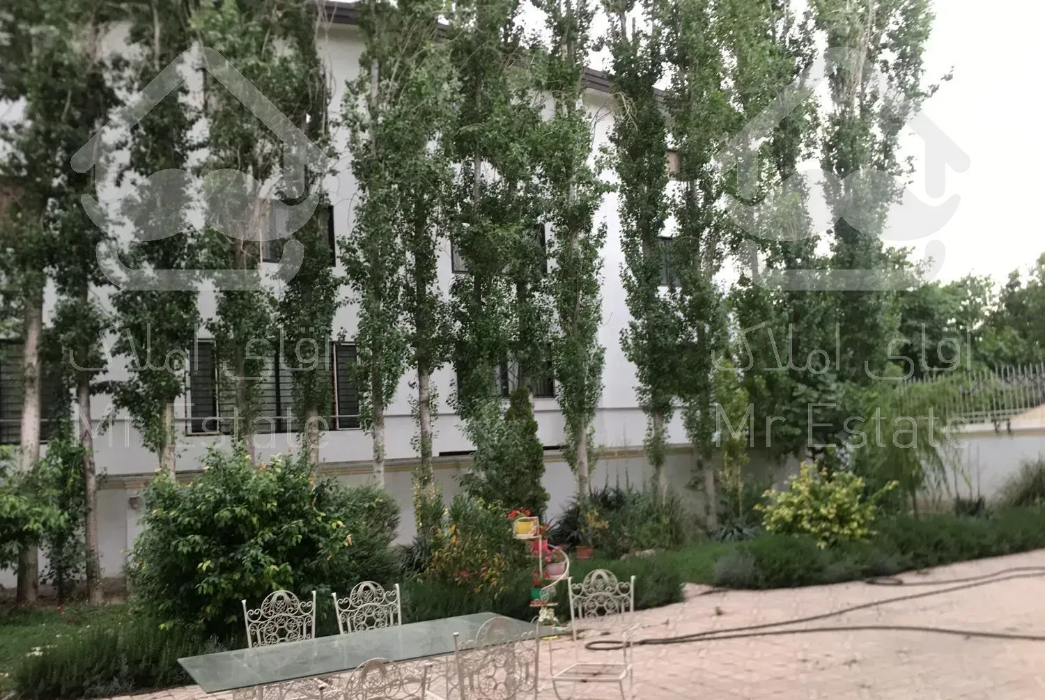 واحد دو کله ، بازدید مساوی با خرید