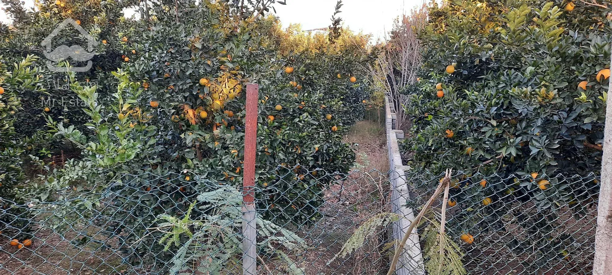 فروش باغچه ،مسکونی