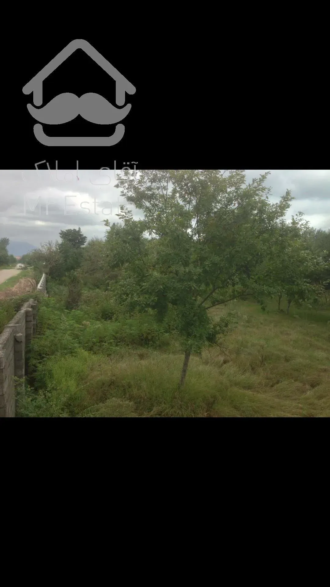 ۱۹هزار متر زمین با سند ۶دانگ ۲۸۰متر بحر