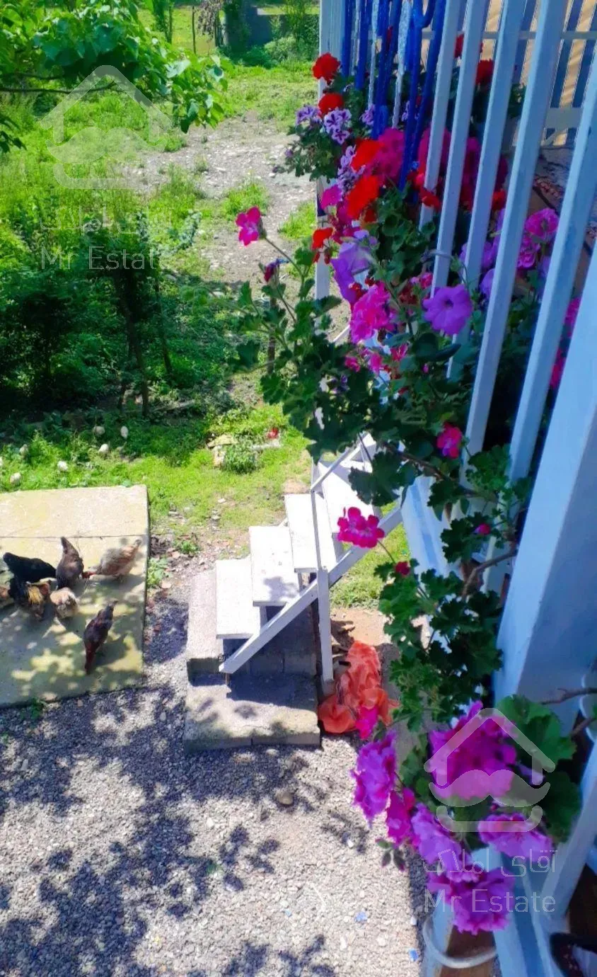 اجاره سوئیت زیبا