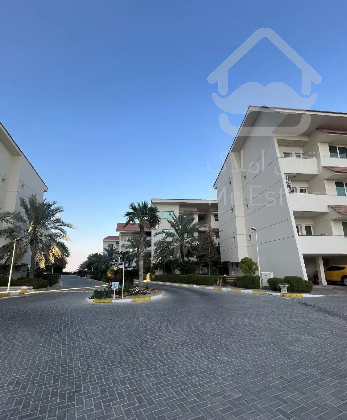 دامون کیش ایر(محسن میرزائی)