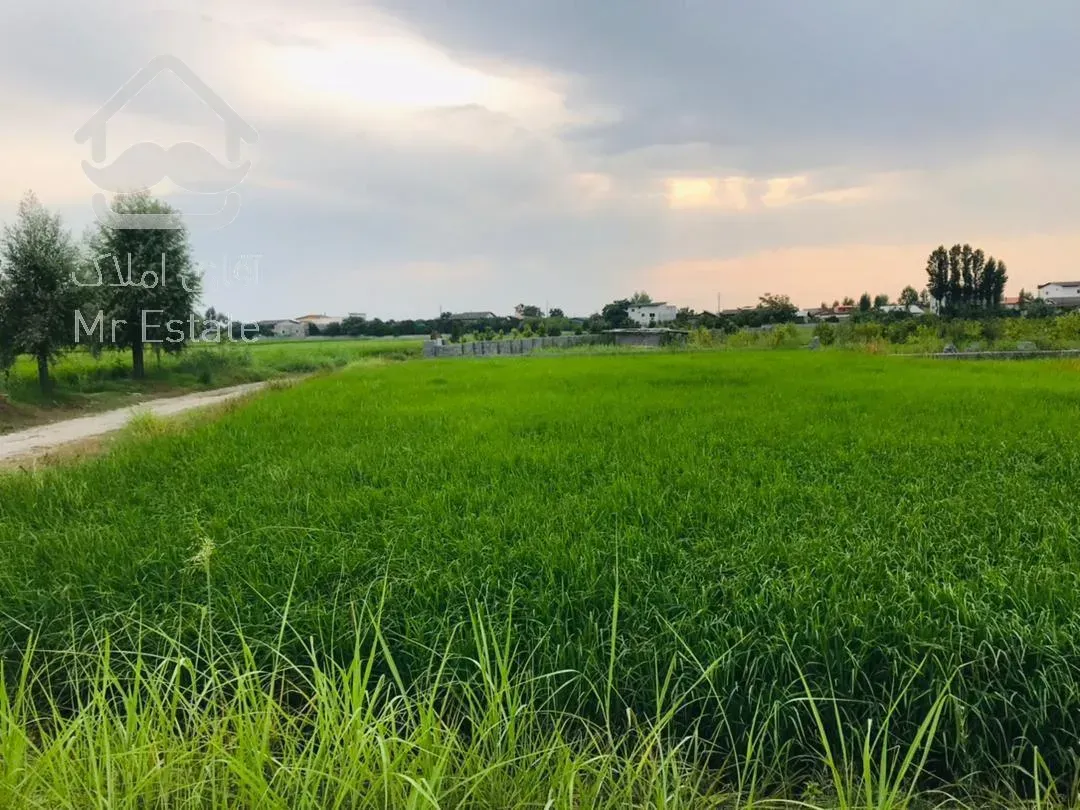 فروش فوری زمین ۴۰۰۰ متر با شرایط پرداخت عالی و یا تهاتر با ماشین