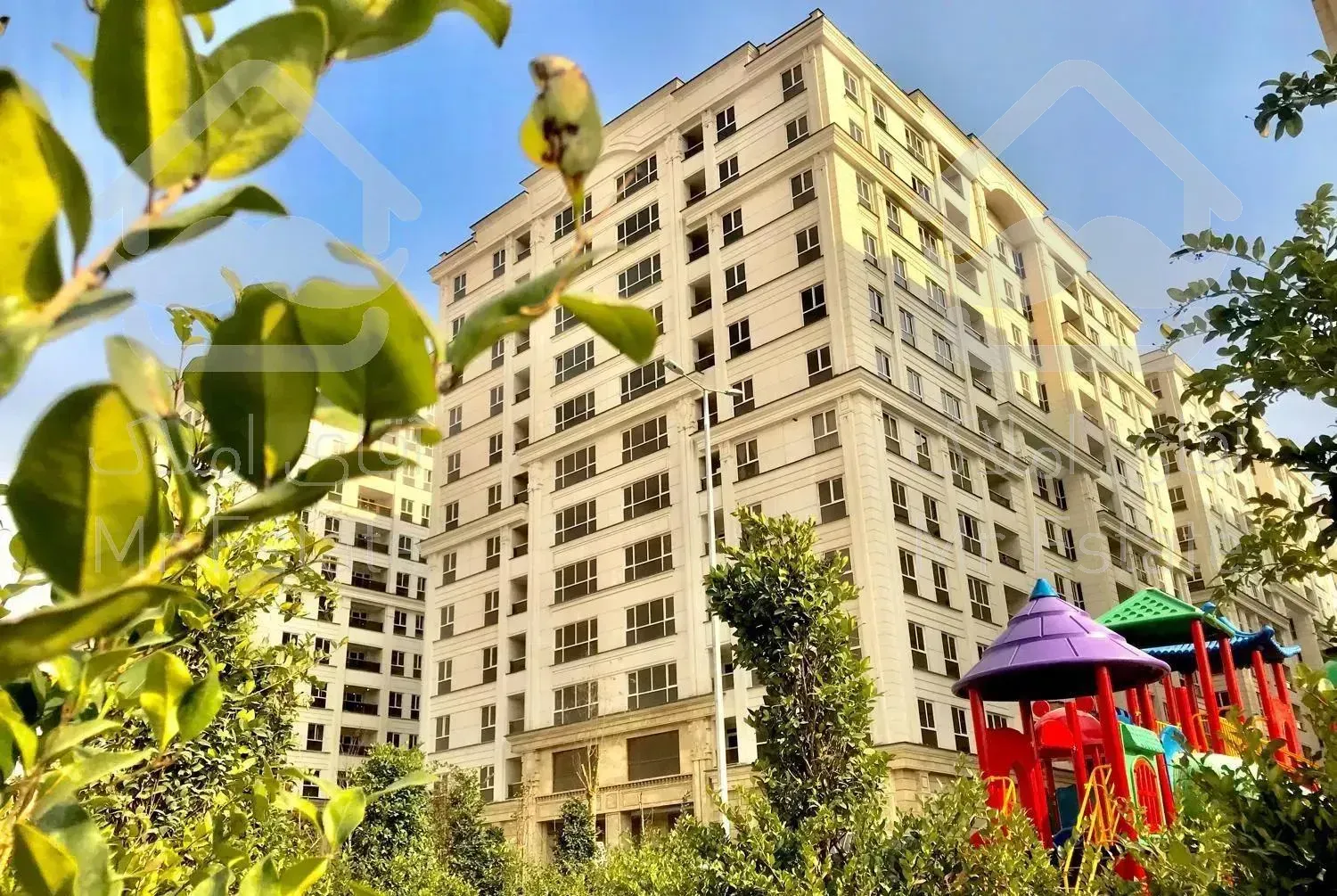 ۱۹۴متربرفرازجنگل‌های‌لویزان/در برج‌شاهانه رونیکا