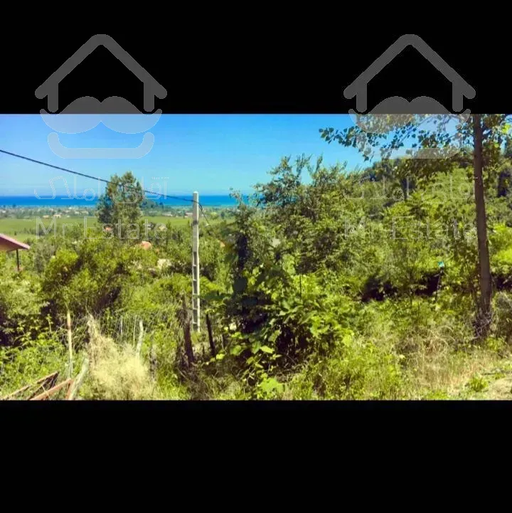 زمین زراعی مسکونی ۲۷۰۰ متری نزدیک دریا