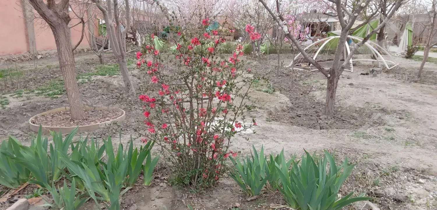 اجاره باغ ویلا با استخر آبگرم سرپوشیده