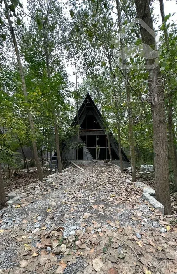 ویلا کلبه سویسی وسط جنگل با سند و سه کنتور