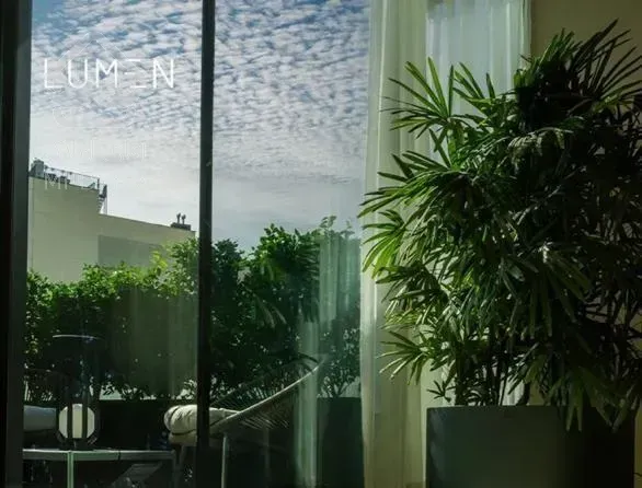 ۲۵۰ متر، تجربه ای دلنشین از کالکشنِ اعیانی