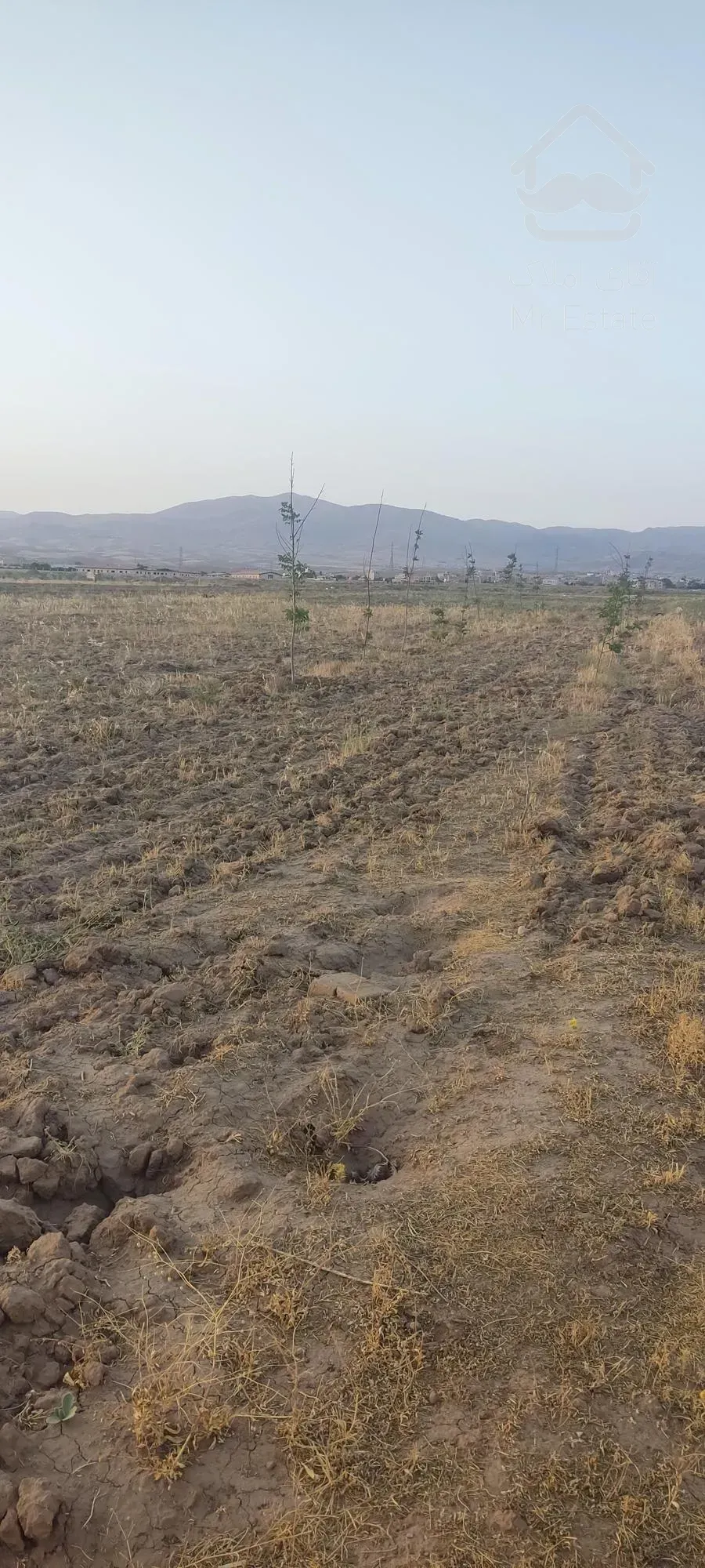 زمین کشاورزی و باغ