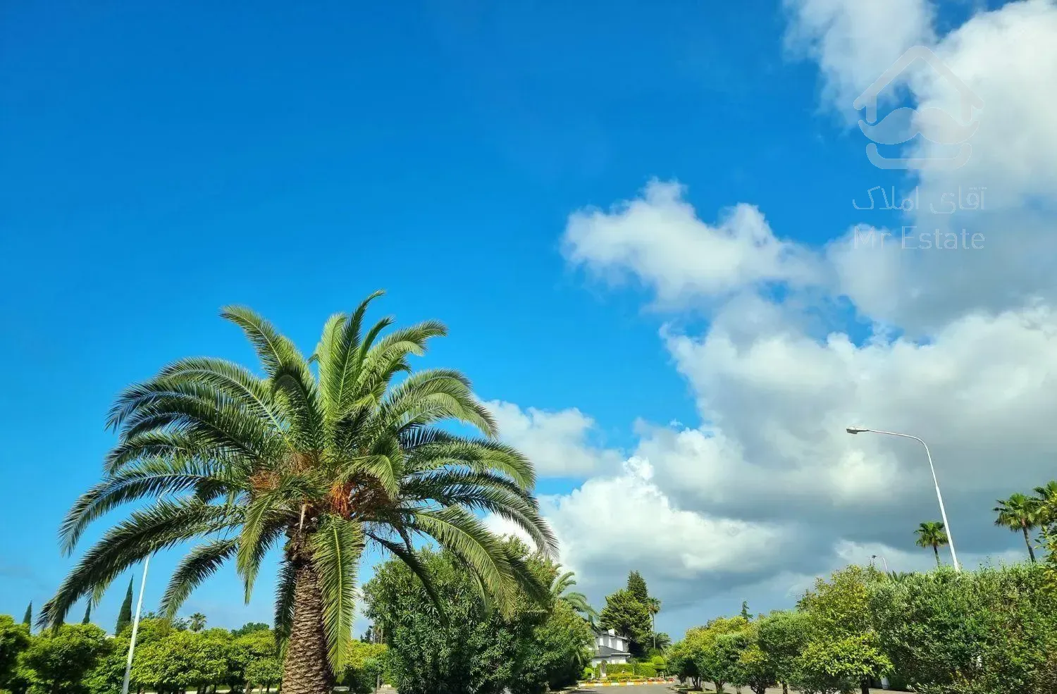 ویلا کلنگی در بافت قدیم/نرگس خزرشهرجنوبی